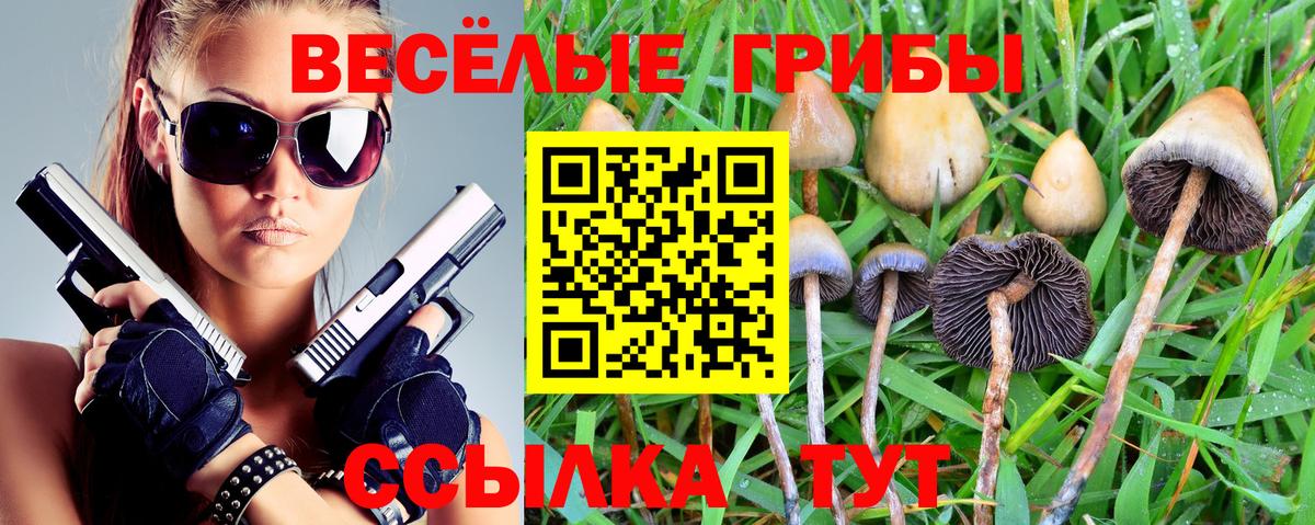 Псилоцибиновые грибы Cubensis  Вход с VPN  Барабинск  Галлюциногенные грибы мухоморы 